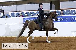 12r9_1613 proof
