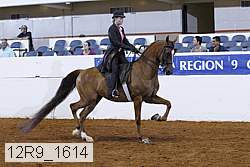 12r9_1614 proof