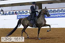 12r9_1617 proof