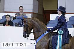 12r9_1631 proof