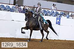 12r9_1634 proof