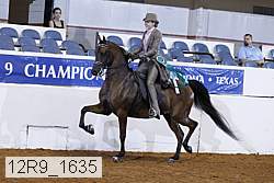 12r9_1635 proof