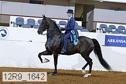 12r9_1642 proof