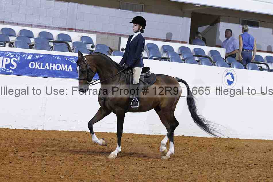 Proof 12r9_1665