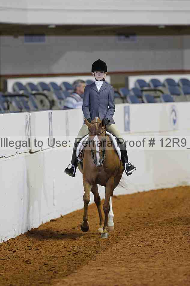 Proof 12r9_1669