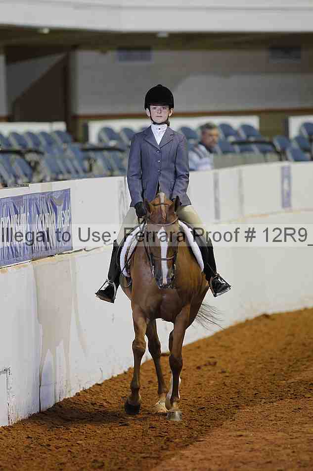 Proof 12r9_1670
