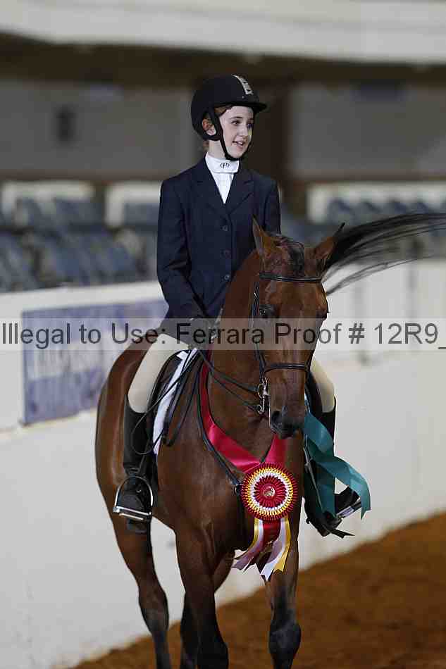 Proof 12r9_1679