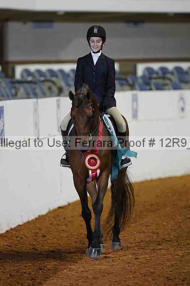 Proof 12r9_1698