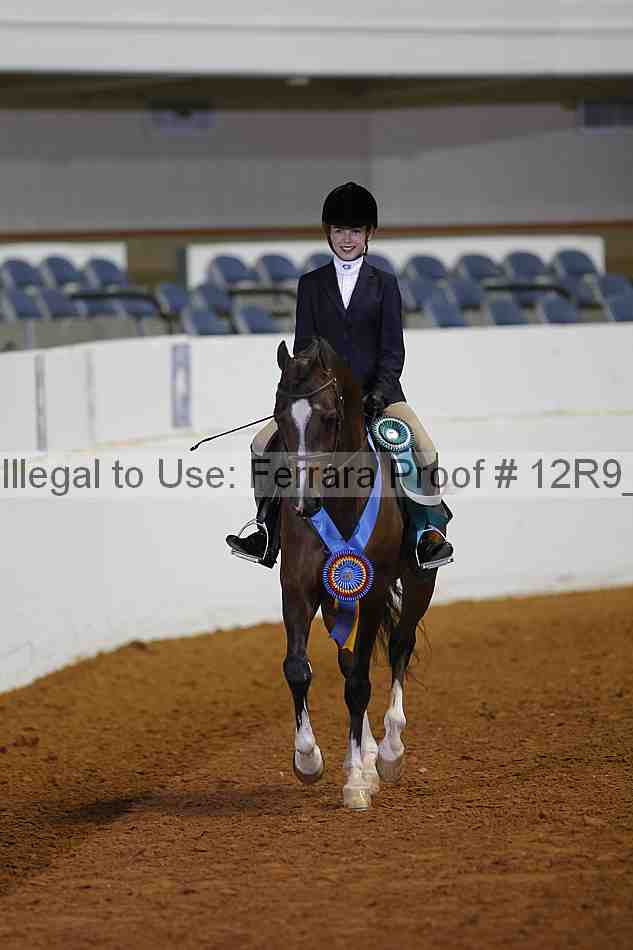Proof 12r9_1699