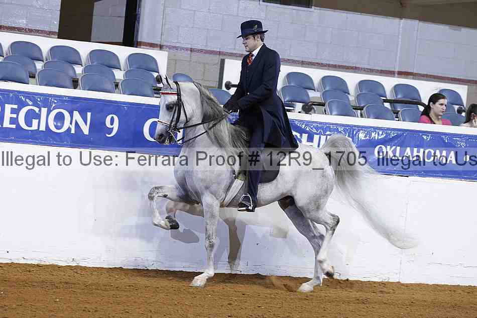 Proof 12r9_1705