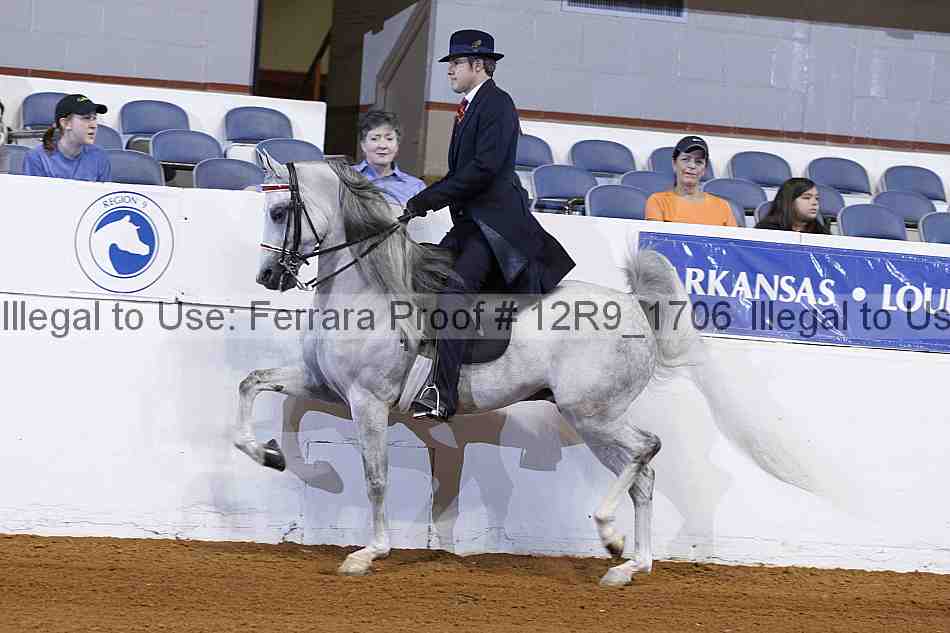 Proof 12r9_1706