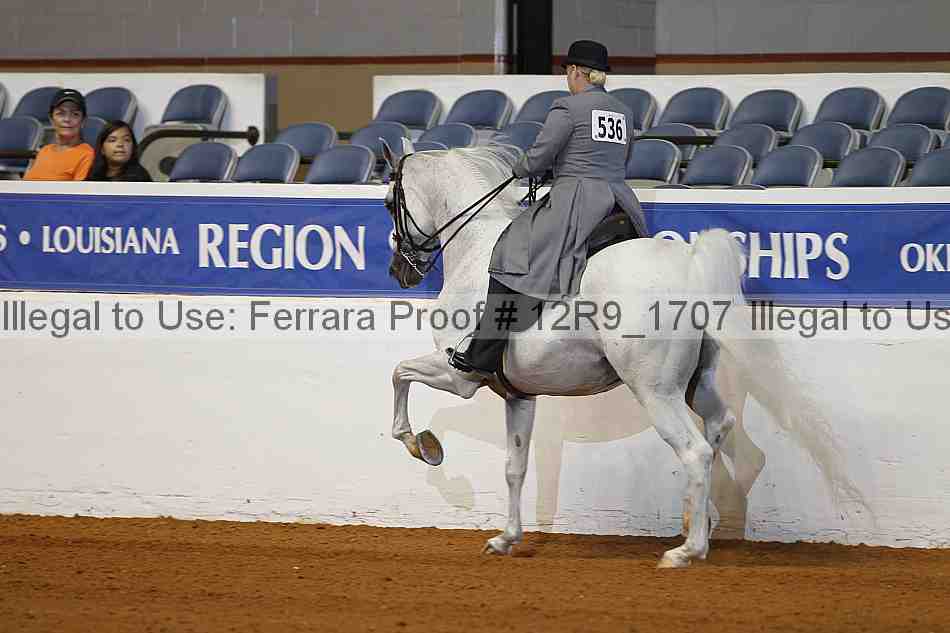 Proof 12r9_1707