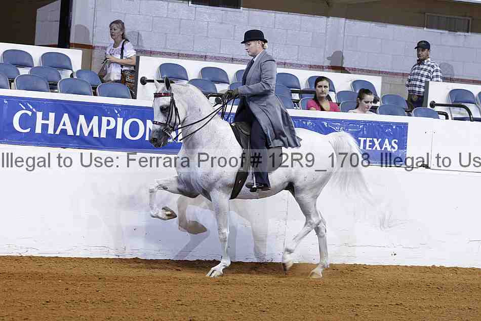 Proof 12r9_1708