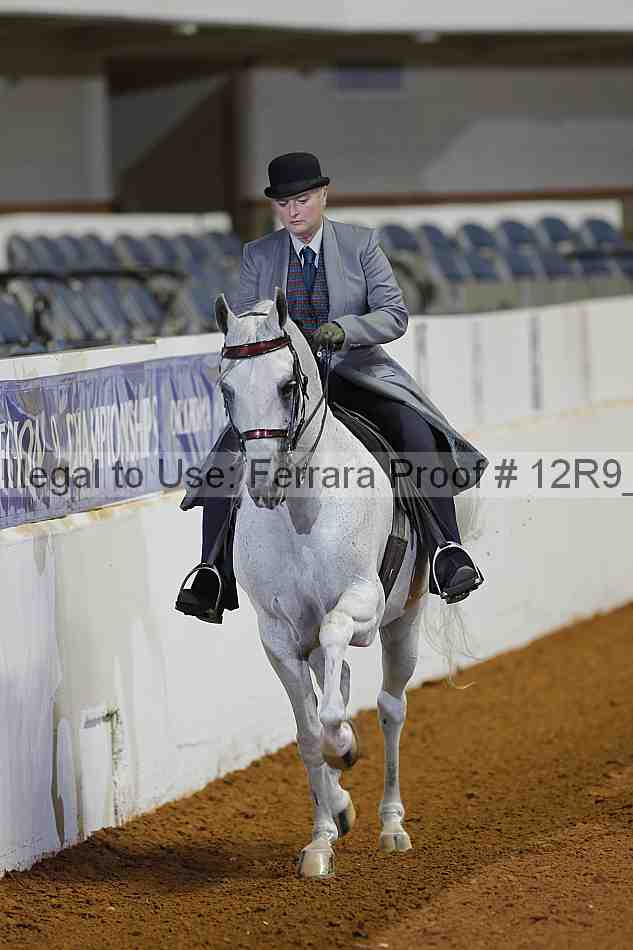 Proof 12r9_1709