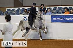 12r9_1713 proof
