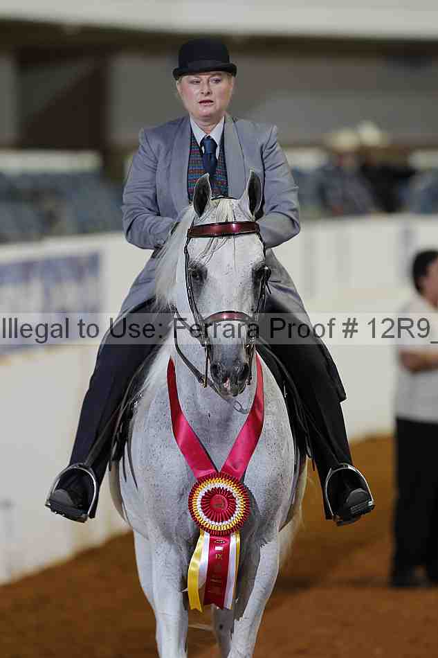 Proof 12r9_1719