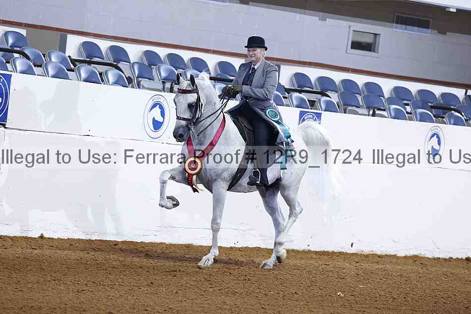 Proof 12r9_1724