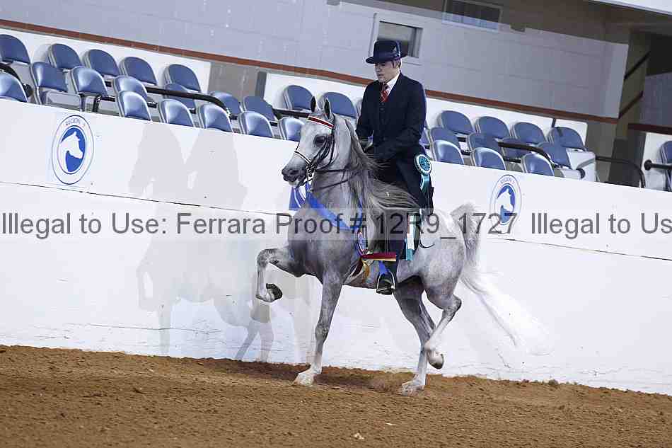 Proof 12r9_1727