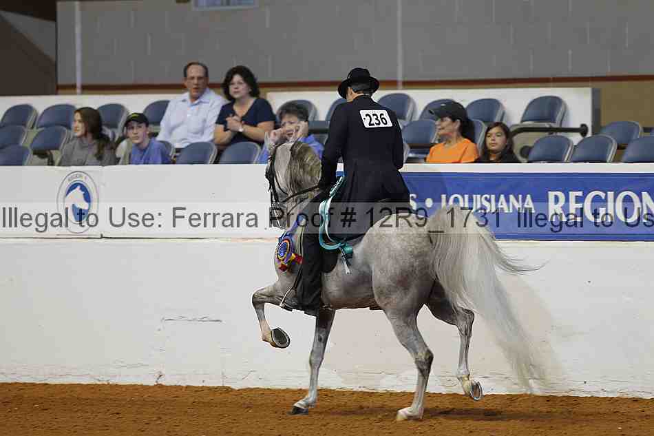 Proof 12r9_1731