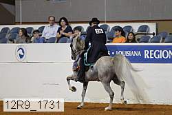 12r9_1731 proof