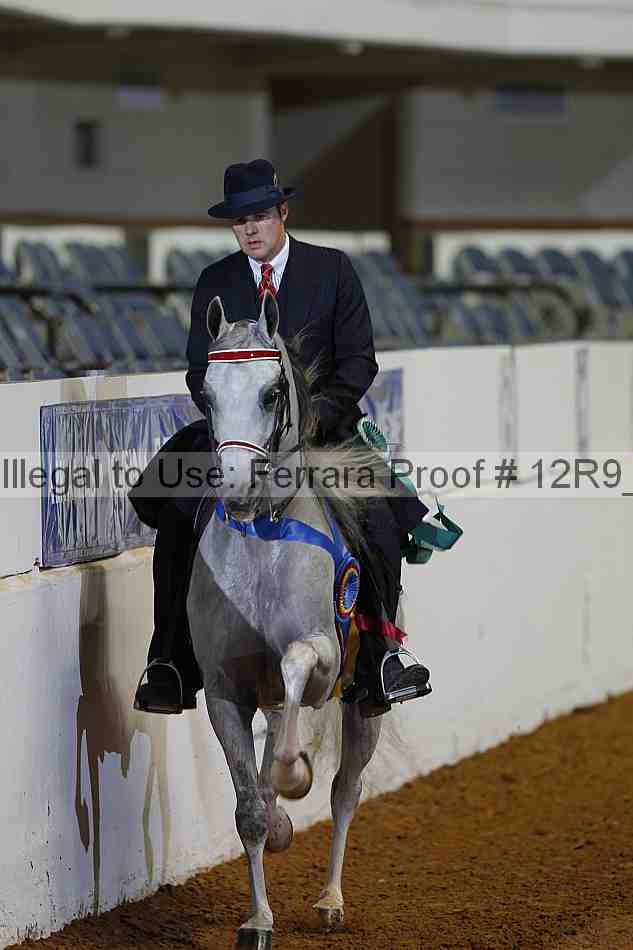 Proof 12r9_1736