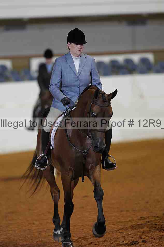 Proof 12r9_1896