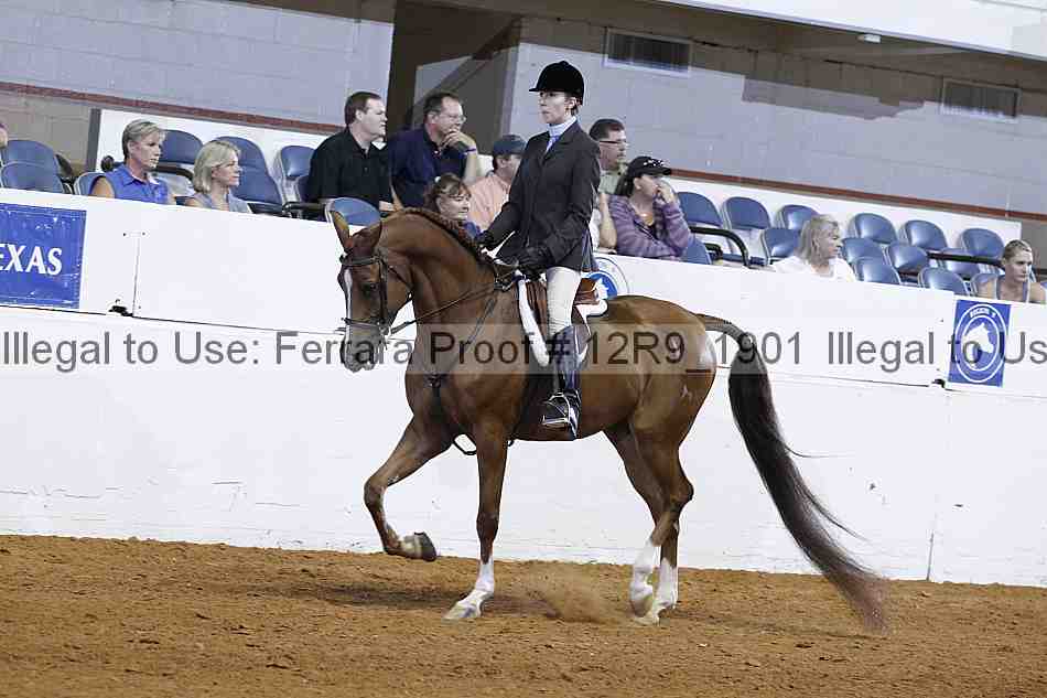 Proof 12r9_1901