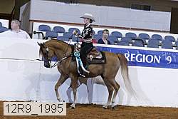 12r9_1995 proof