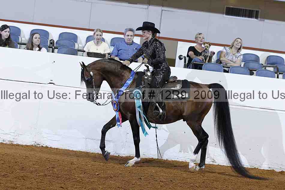 Proof 12r9_2009