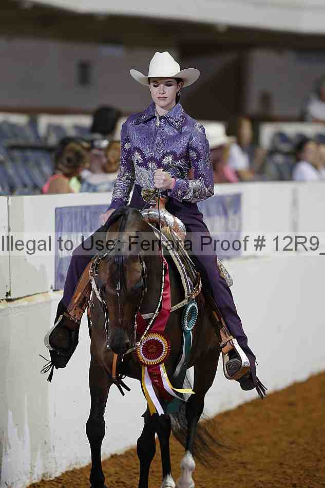 Proof 12r9_2011