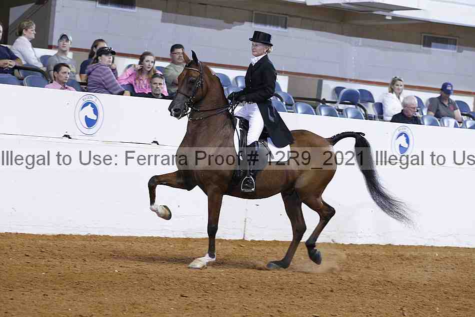 Proof 12r9_2021