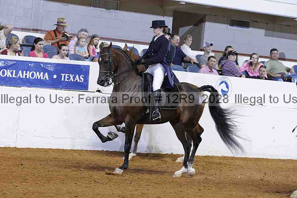 Proof 12r9_2028