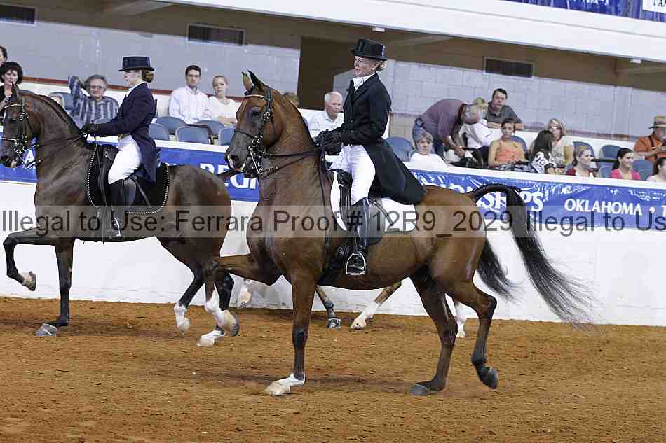Proof 12r9_2029