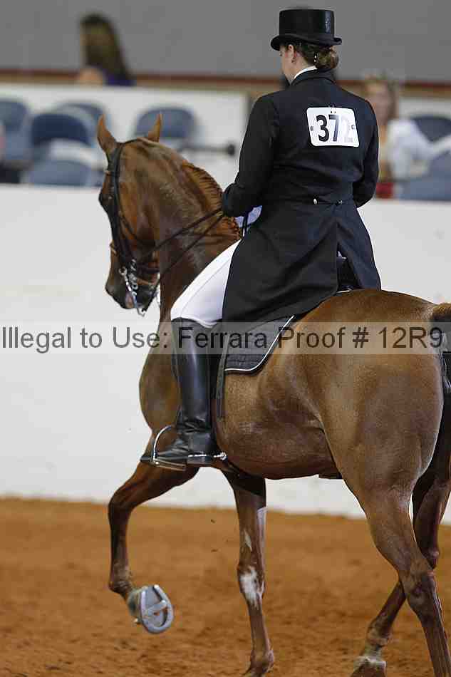 Proof 12r9_2032