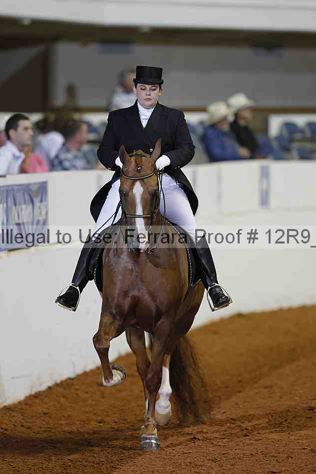 Proof 12r9_2035
