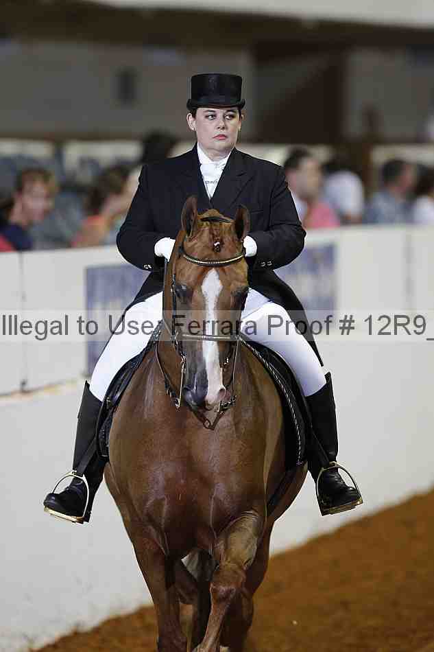Proof 12r9_2036