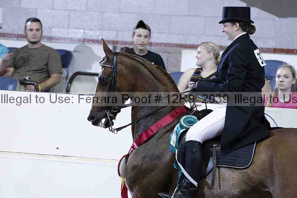 Proof 12r9_2039