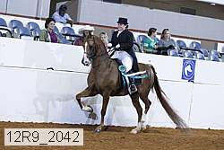 12r9_2042 proof