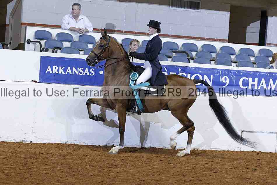 Proof 12r9_2046