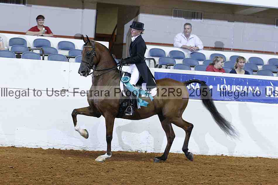 Proof 12r9_2051