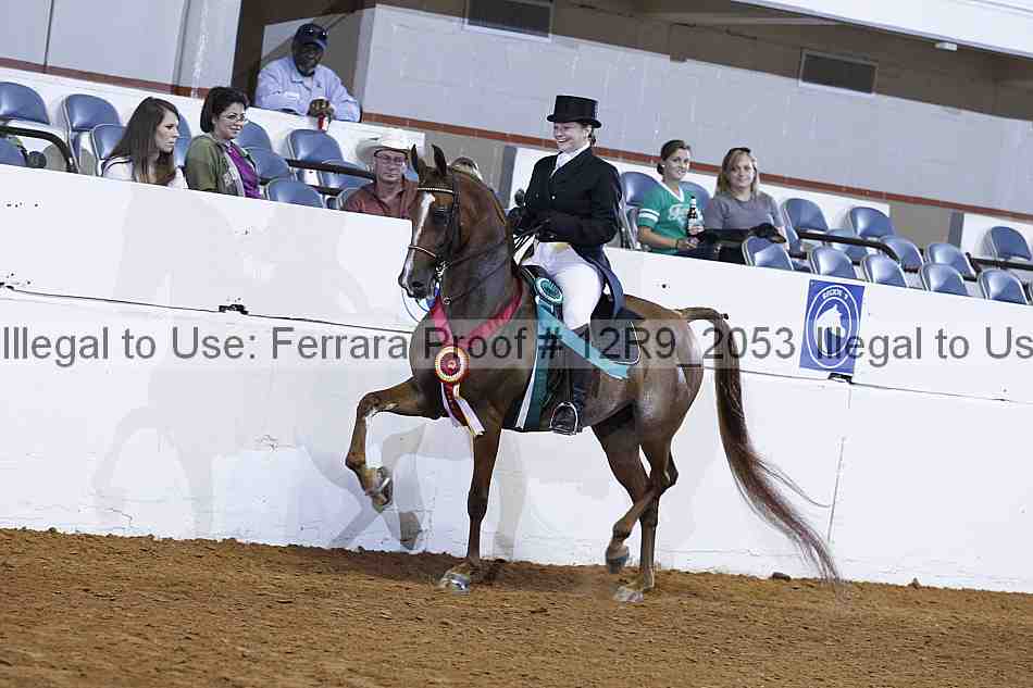 Proof 12r9_2053
