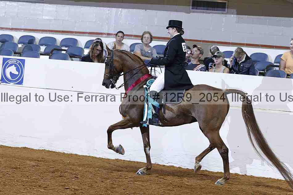 Proof 12r9_2054
