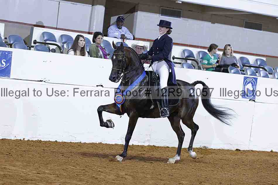 Proof 12r9_2057