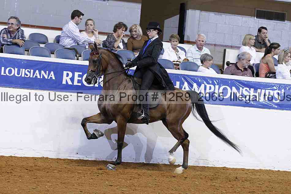 Proof 12r9_2065