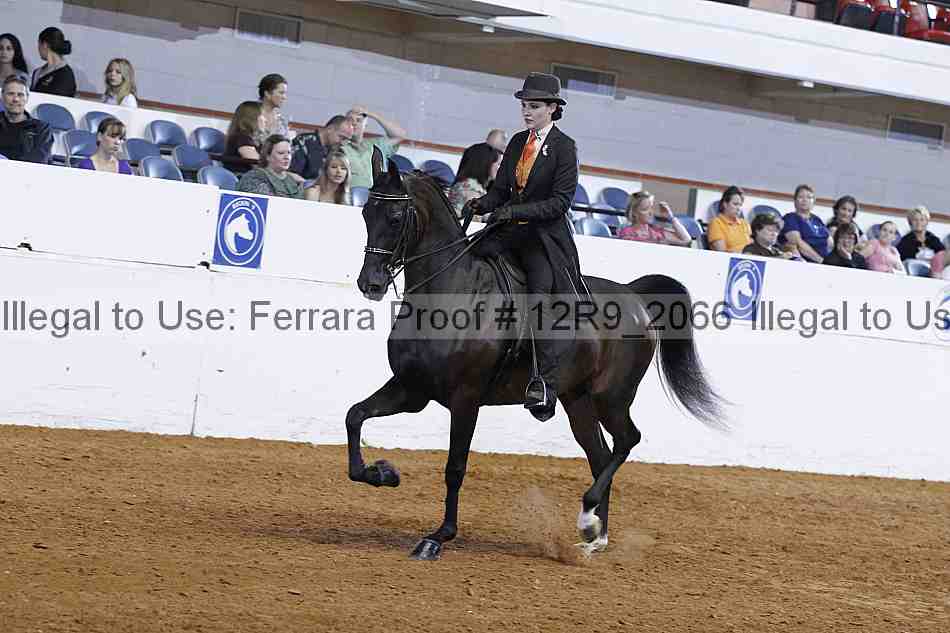 Proof 12r9_2066