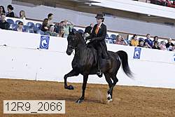 12r9_2066 proof