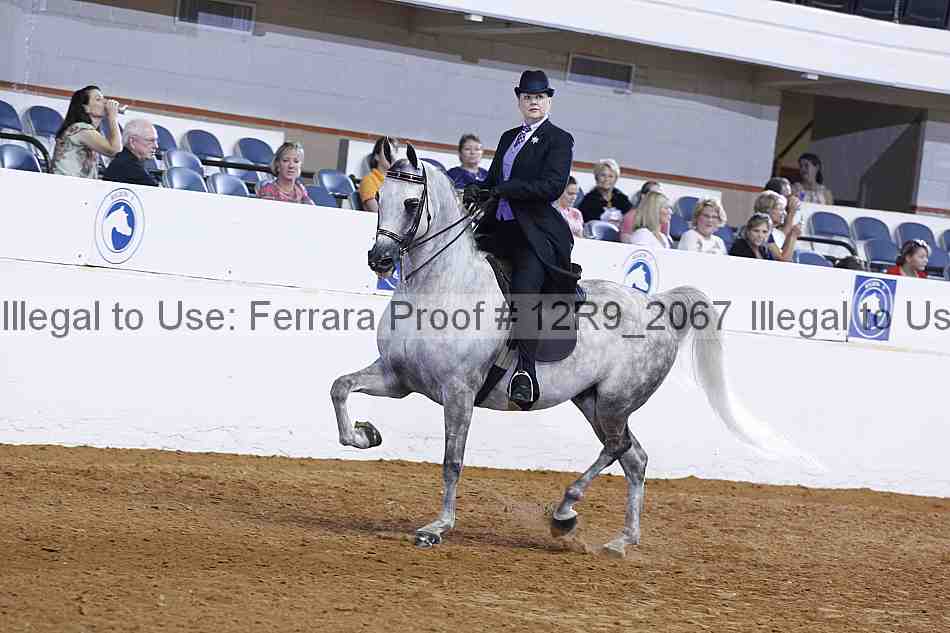 Proof 12r9_2067