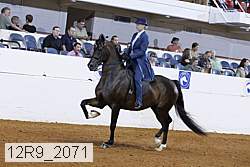 12r9_2071 proof