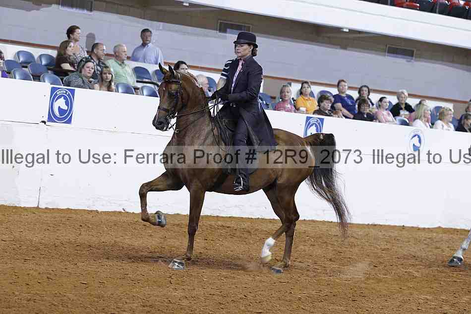 Proof 12r9_2073