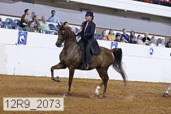 12r9_2073 proof